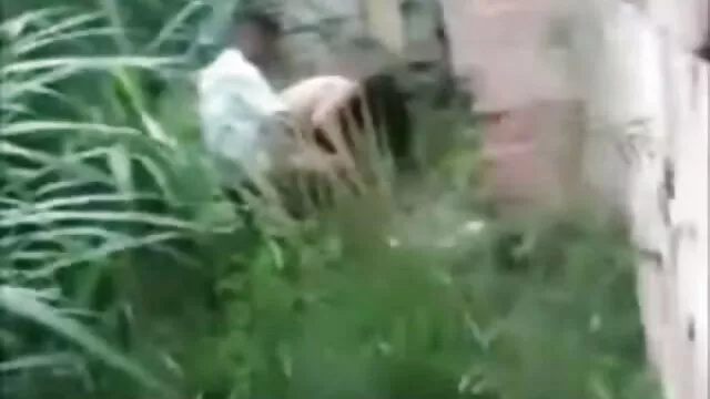 239 porn video